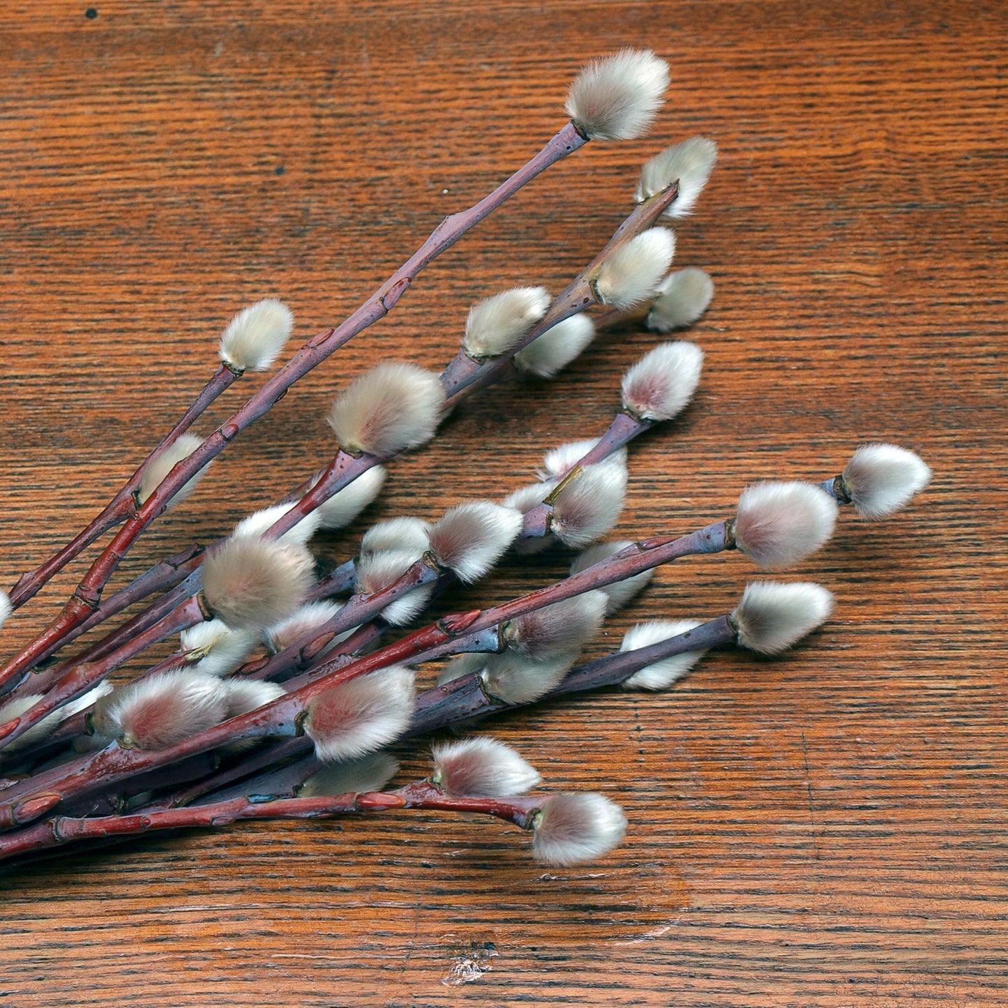 Willow & Dogwood Bouquets