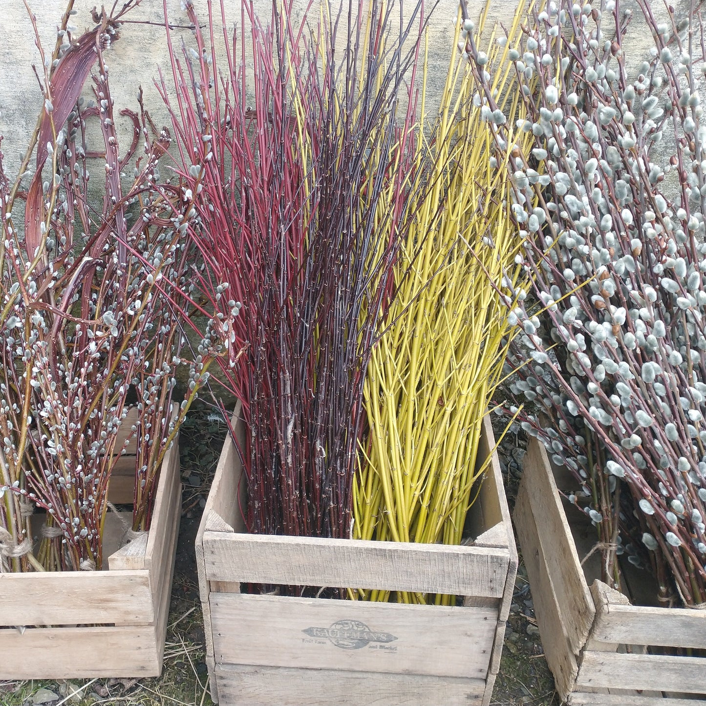 Willow & Dogwood Bouquets