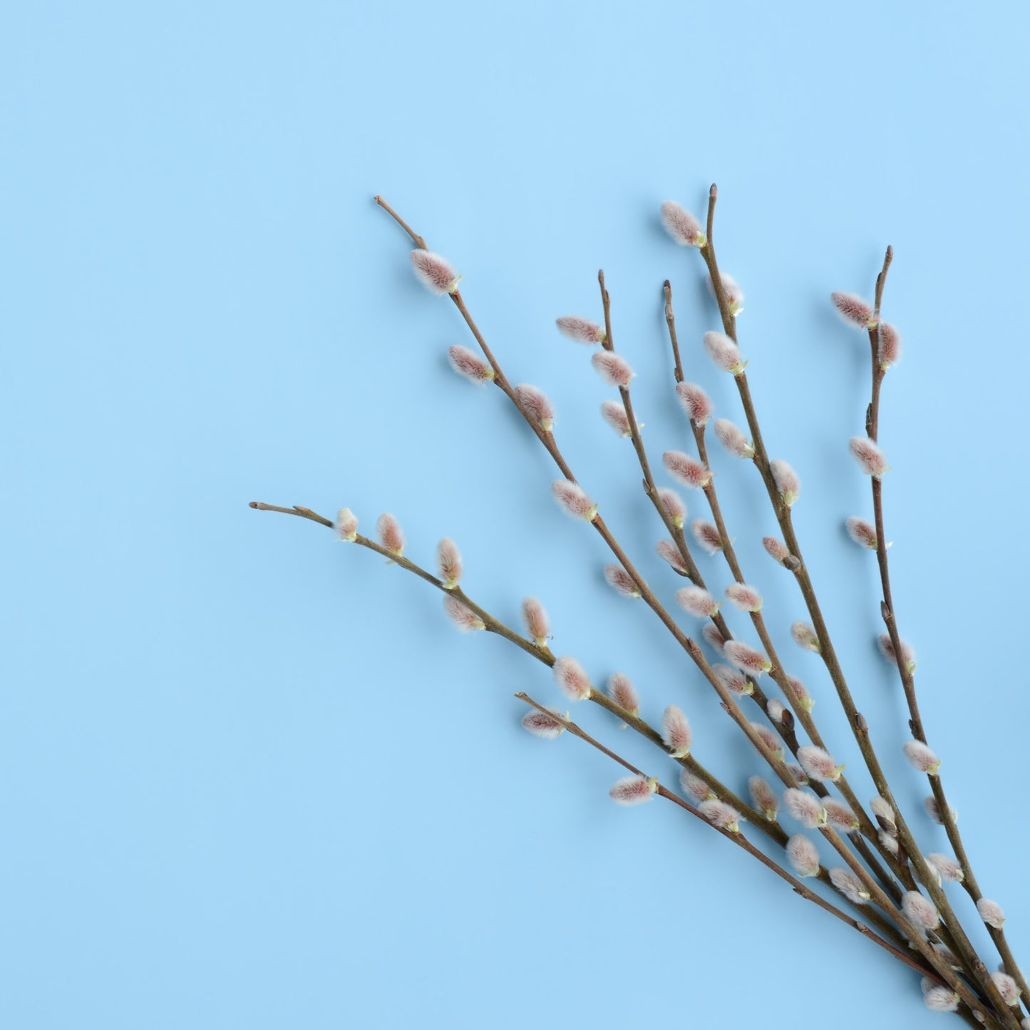 Willow & Dogwood Bouquets